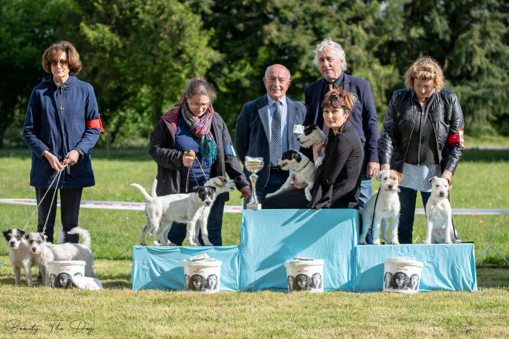 De La Cité Du Bolwerk - 3ème meilleur couple a la Nationale d élevage 2019